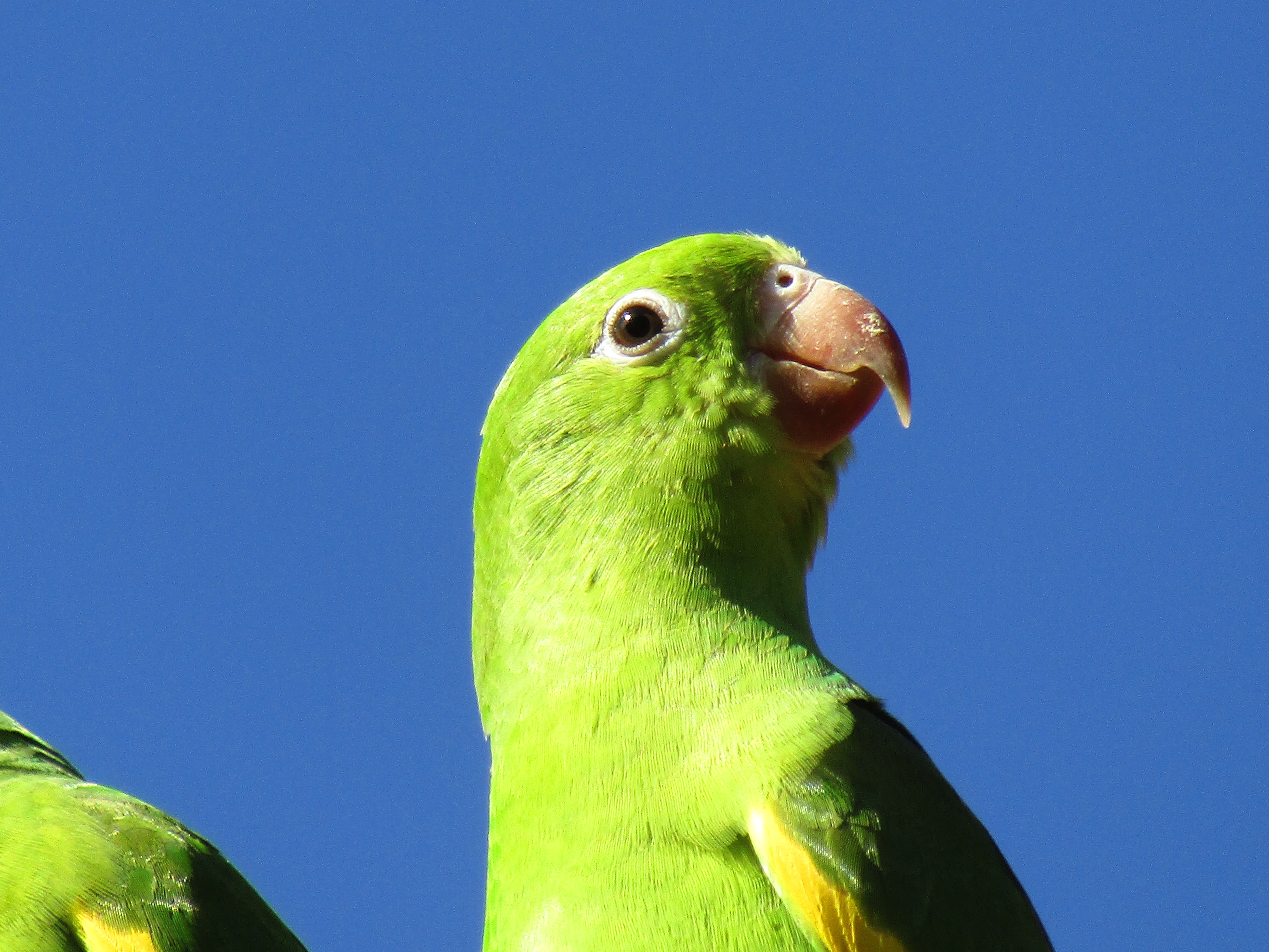 Teste fotos