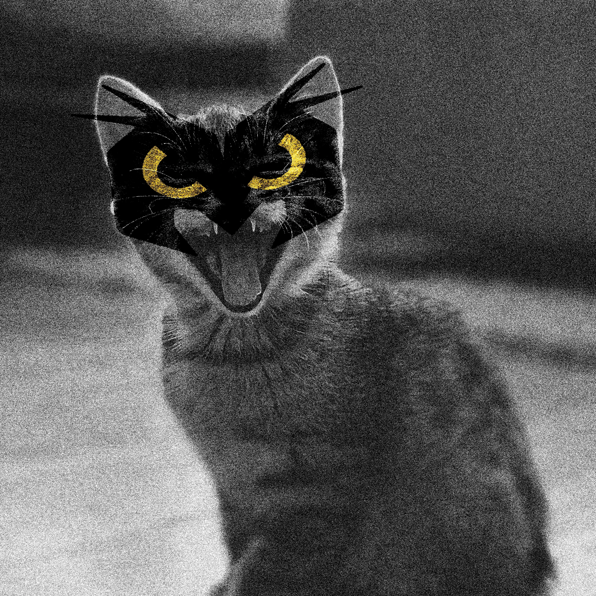 Carrossel What do YOU want!?, imagem 5
